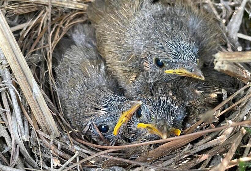 호텔 Family In The Hills By Nature S Glamping