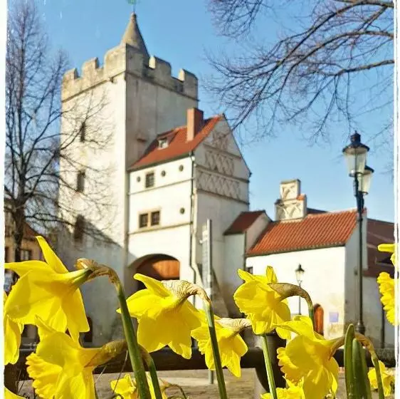 Majatalo Gästehaus Am Stadttor