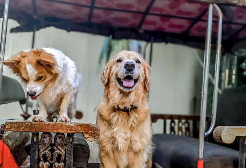 بنسيون Yellow Sun Kampot
