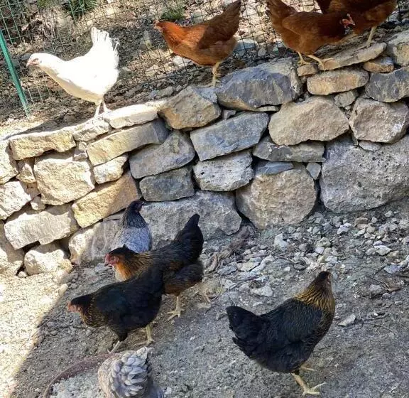Aamiaismajoitus (B&B) La Bastide Du Beausset Vieux