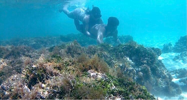 پانسیون Pousada Recanto Pontal De Maracaipe