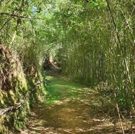 Hotelli Quinta Da Paz Resort