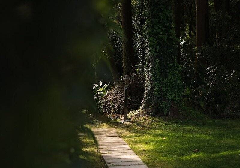 مبيت وإفطار Landescape Furnas