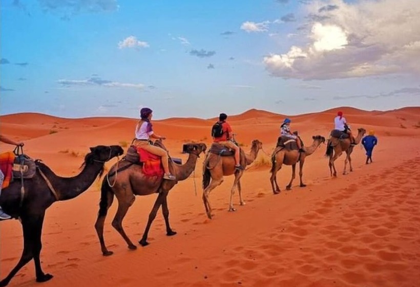 فندق Desert Berber Camp