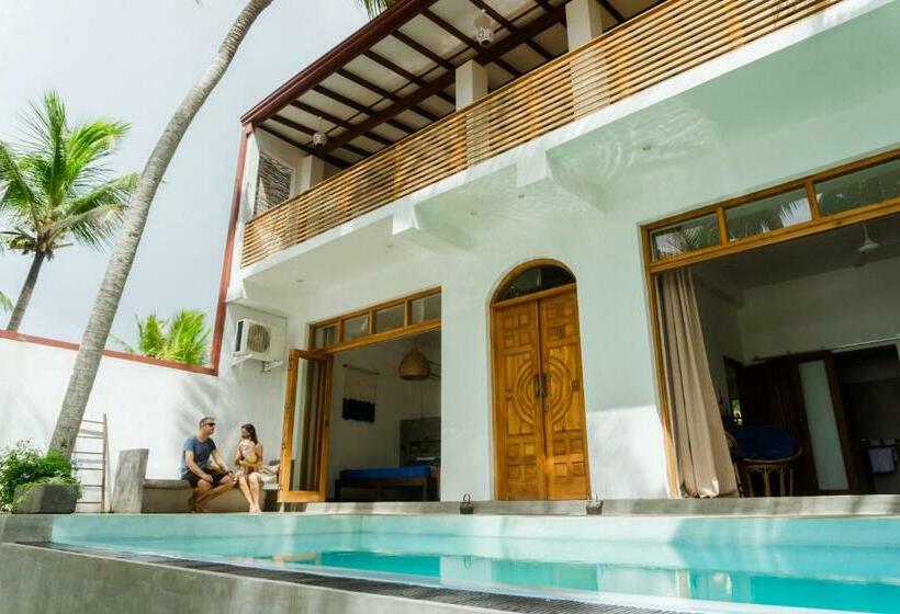 بنسيون Parasol Dore