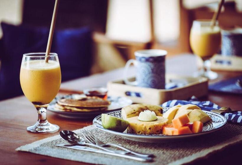 بنسيون Parasol Dore