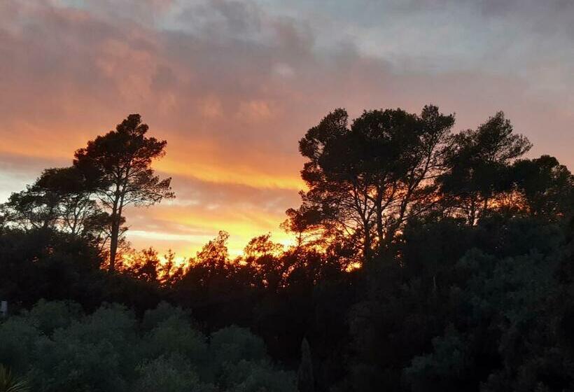 مبيت وإفطار Villa Xanadu