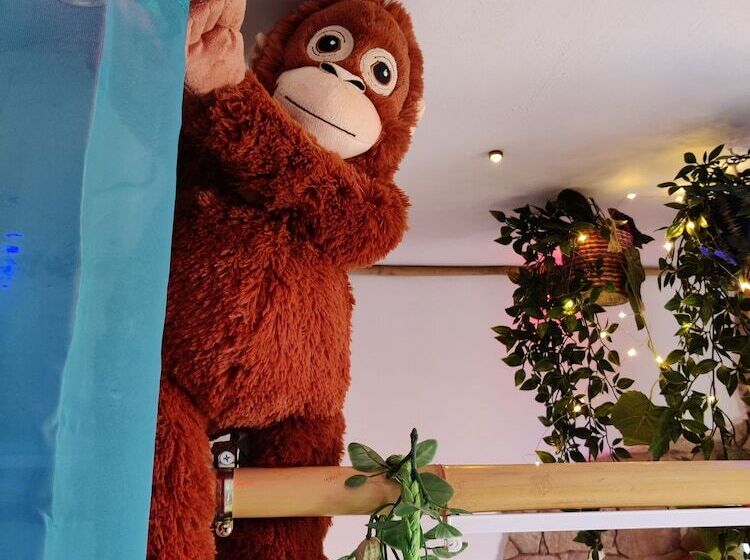 تختخواب و صبحانه Wonder Room Paraiso Magico Habitacion