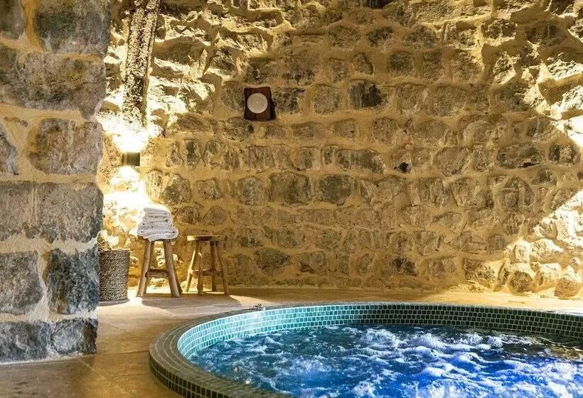 Hotelli Château De Saint Vidal