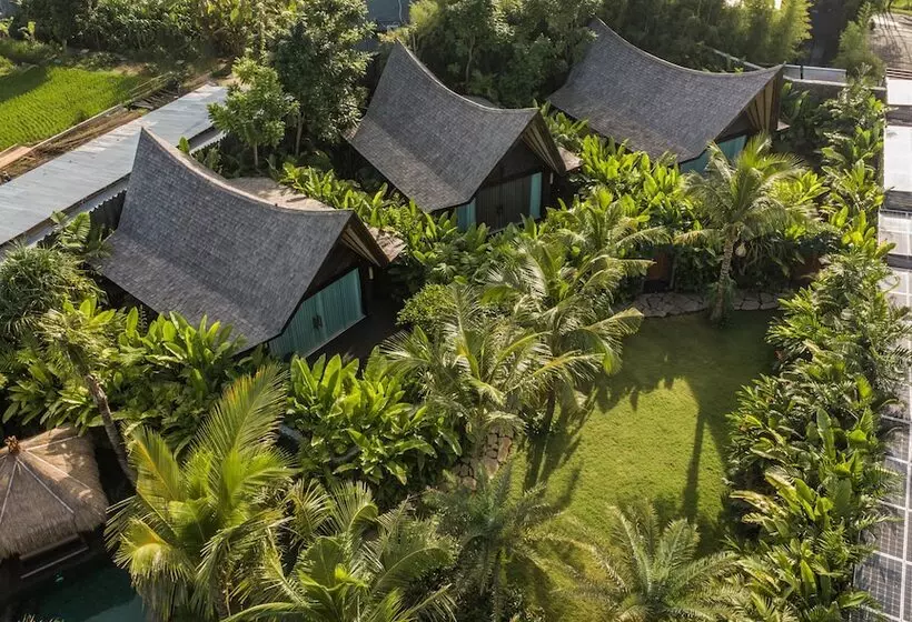 ホテル Desa Hay Canggu