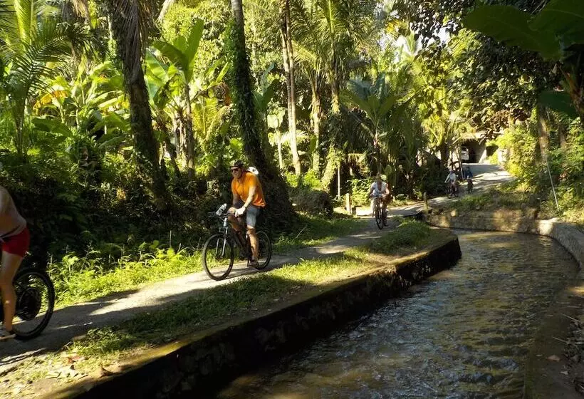 ホテル Desa Hay Canggu