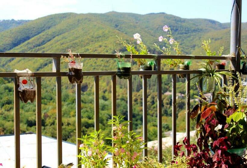 پانسیون New House Signagi