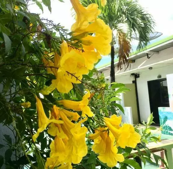 Rawai Whale Resort