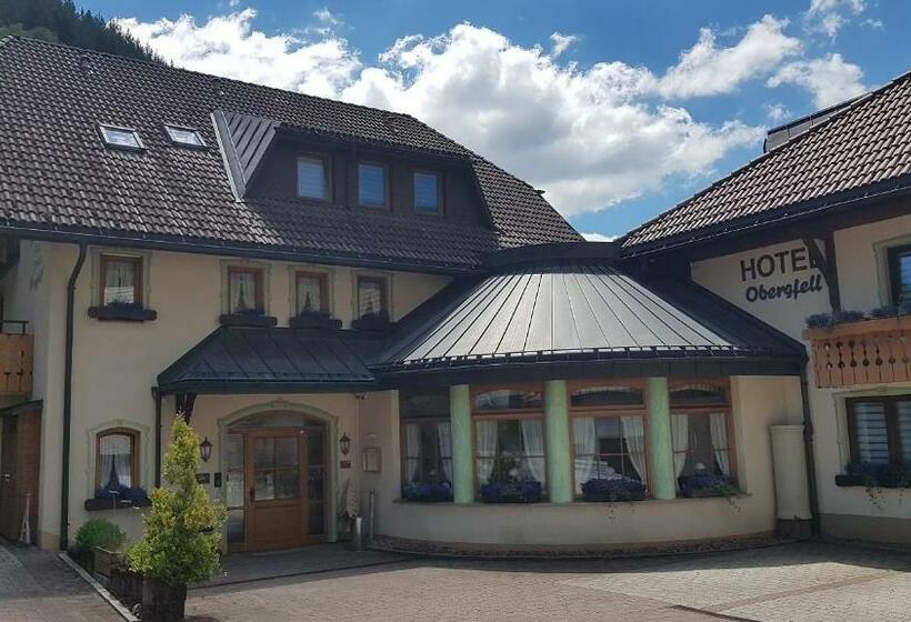 Отель Obergfell