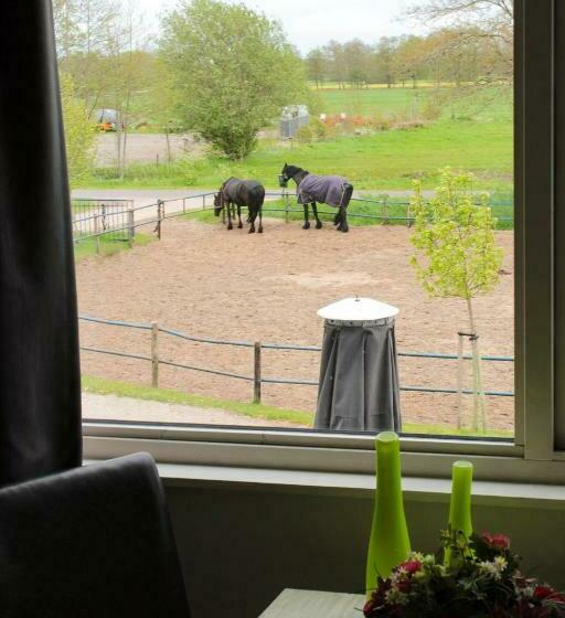 Manege Sanninghoeve B&b
