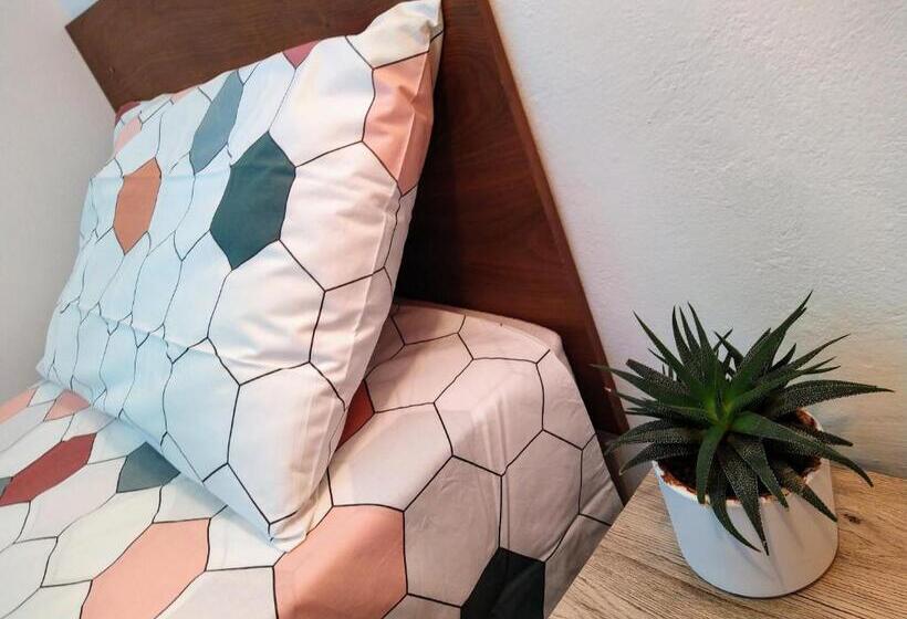 بنسيون Camere Masaccio