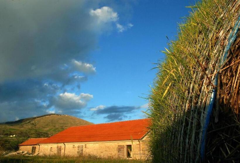 Nocleg ze śniadaniem Chevalier Claudio