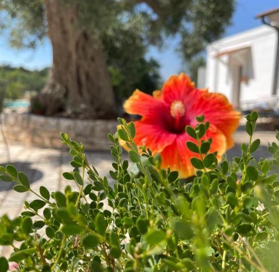 בית מלון כפרי Masseria I Raffi B&b