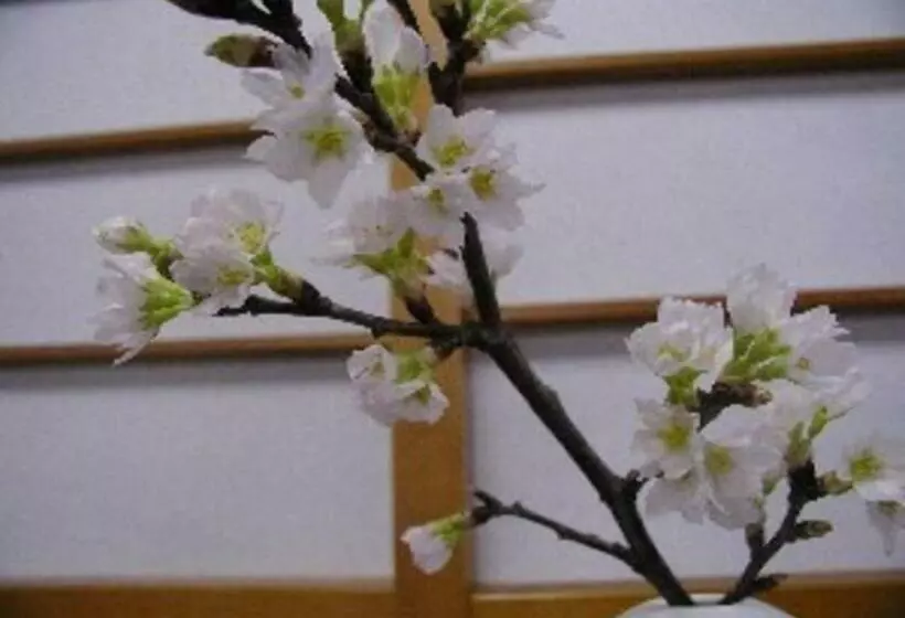 Hotelli Wakaba Ryokan / Vacation Stay 29375