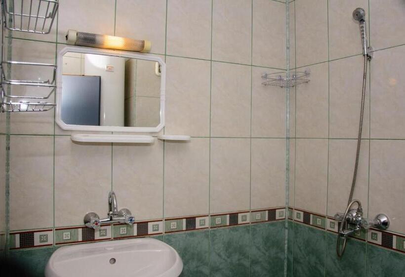 پانسیون вила дари свети влас