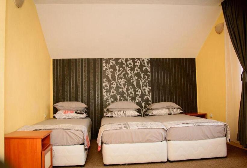 پانسیون вила дари свети влас