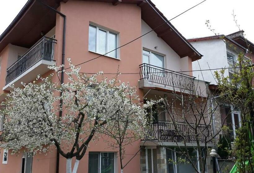 بنسيون вила багрянови