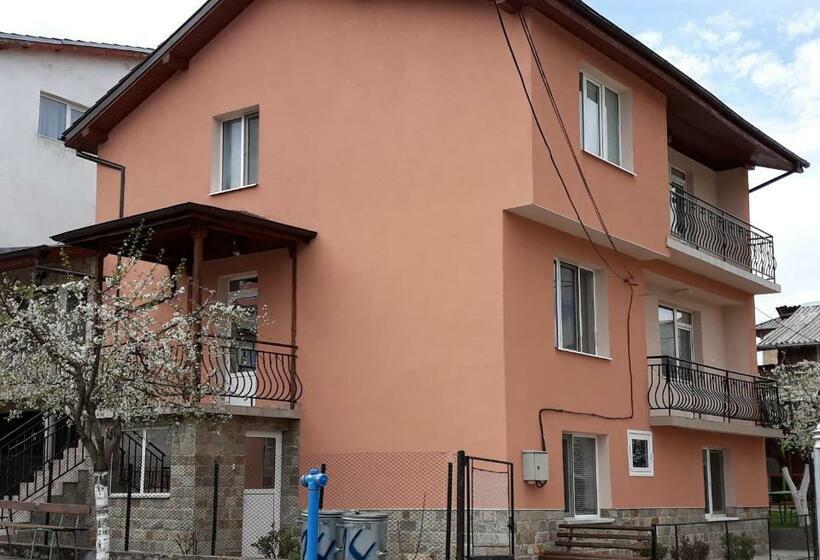 بنسيون вила багрянови