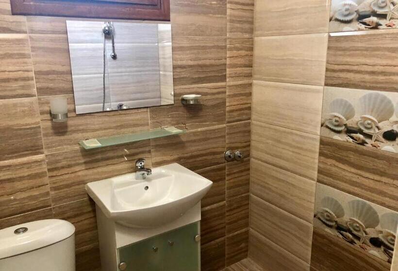 פנסיון джорджия