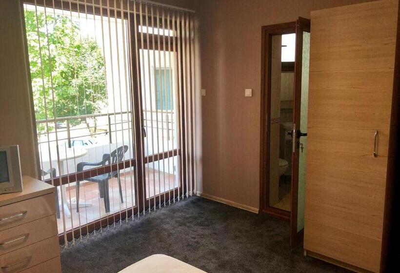 פנסיון джорджия