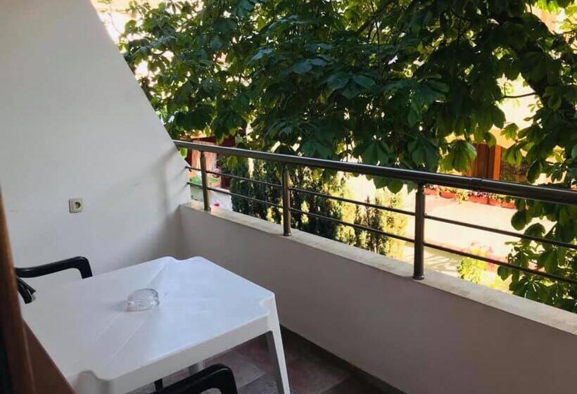 פנסיון джорджия