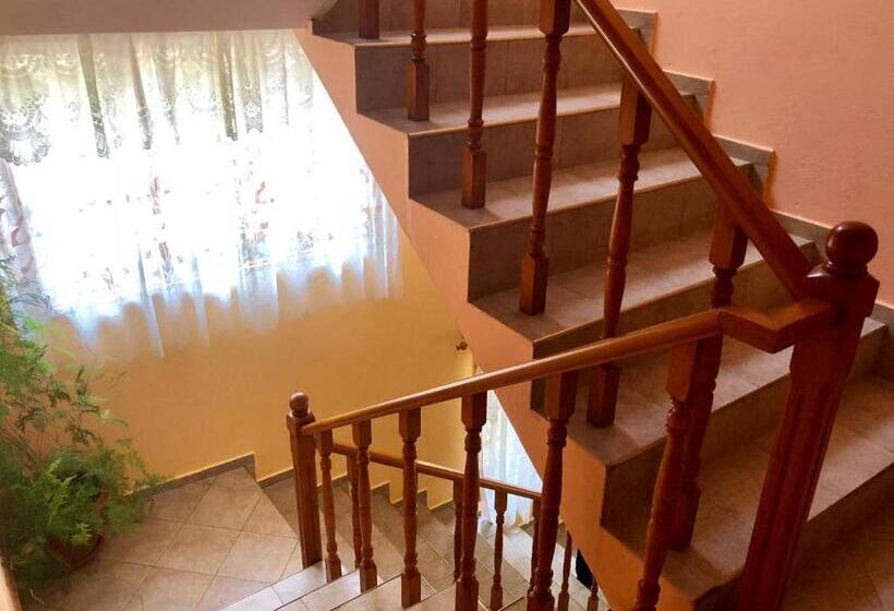 פנסיון джорджия