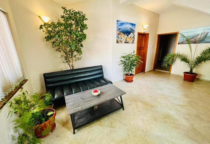 פנסיון джорджия