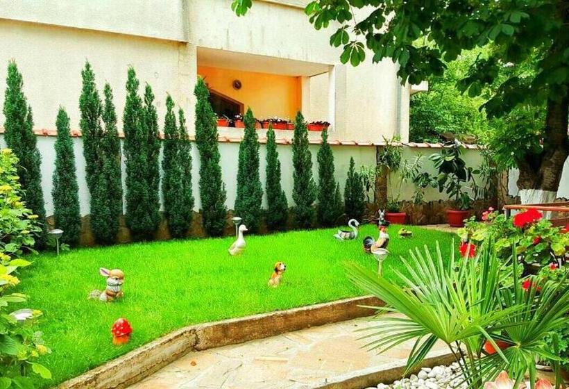 פנסיון джорджия