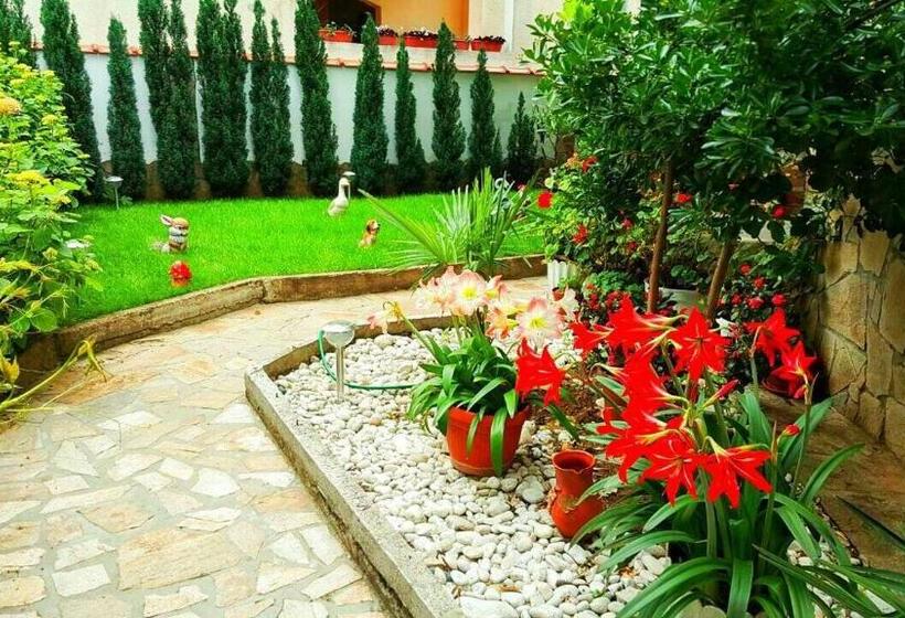 פנסיון джорджия