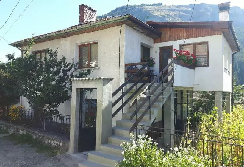 ペンション Guest House Denitsa