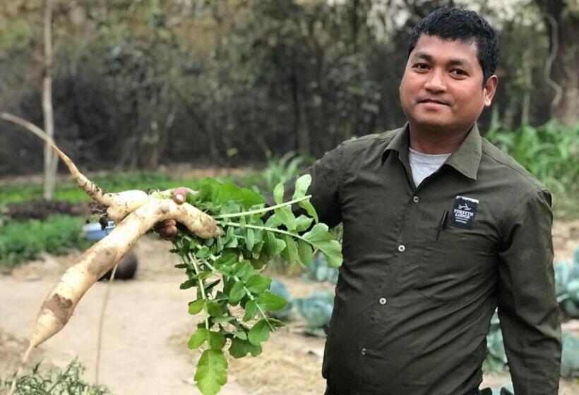 Resort Forsyth Lodge