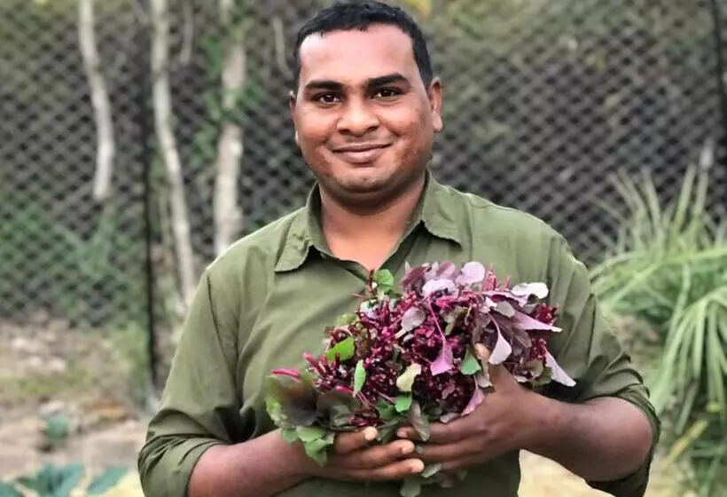 Lomakeskus Forsyth Lodge