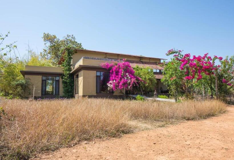 Resort Forsyth Lodge