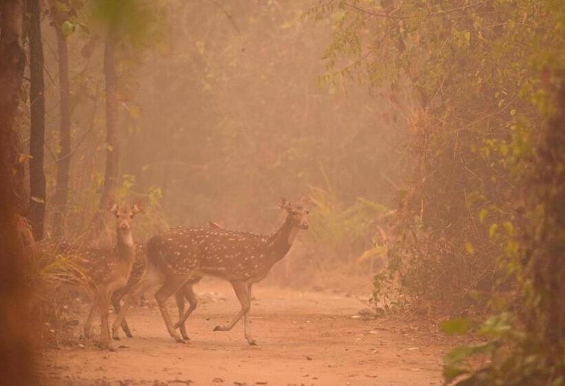 Resort Forsyth Lodge