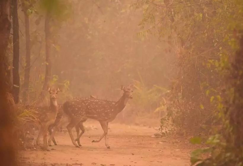 Lomakeskus Forsyth Lodge