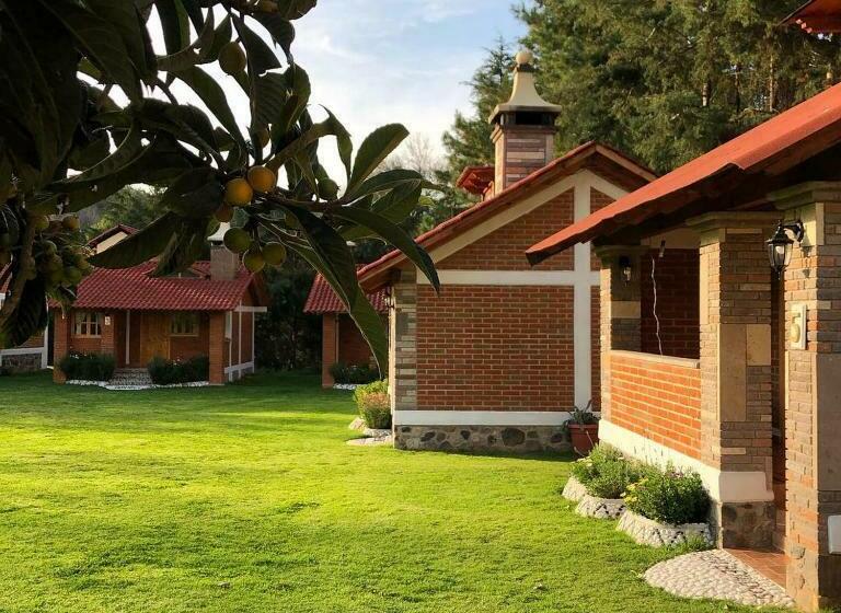 ホテル Cabañas Rincón Escondido