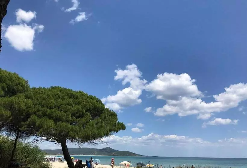 B&b Franzisca