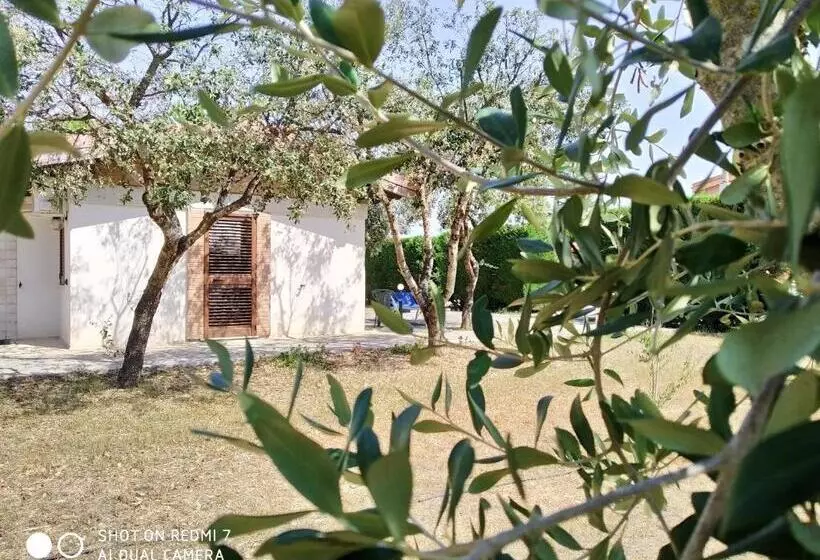 B&b Villagiulia