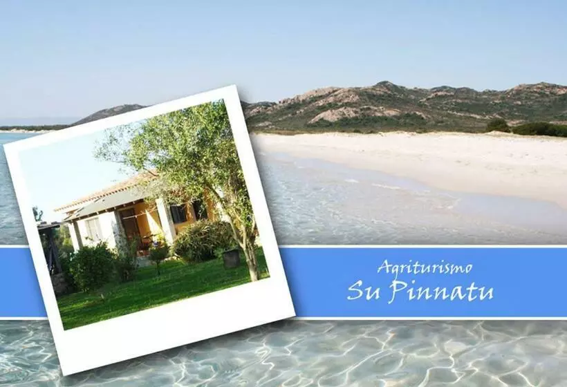 ホテル Agriturismo Su Pinnatu