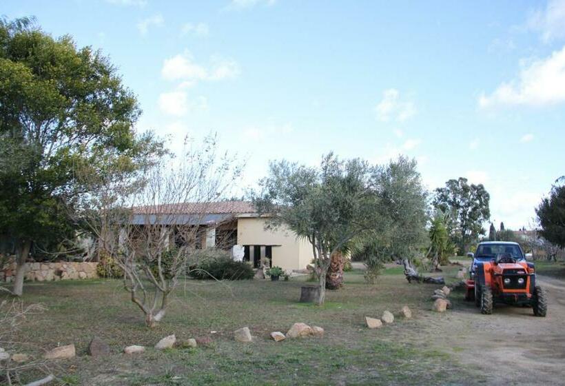 酒店 Agriturismo Su Pinnatu