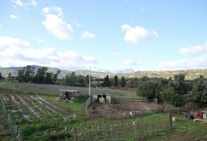 酒店 Agriturismo Su Pinnatu