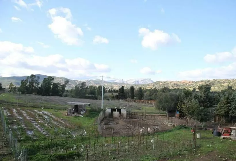 ホテル Agriturismo Su Pinnatu
