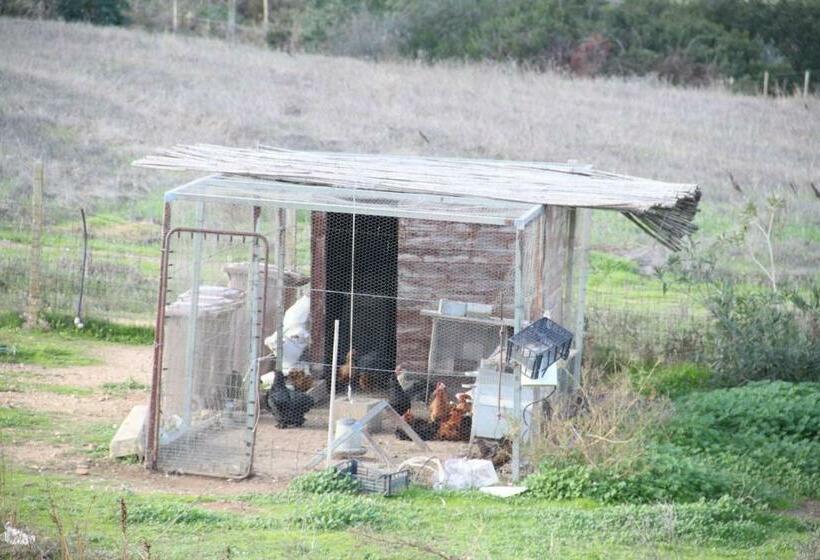 酒店 Agriturismo Su Pinnatu