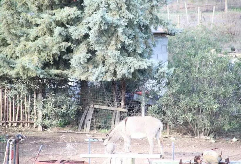 ホテル Agriturismo Su Pinnatu