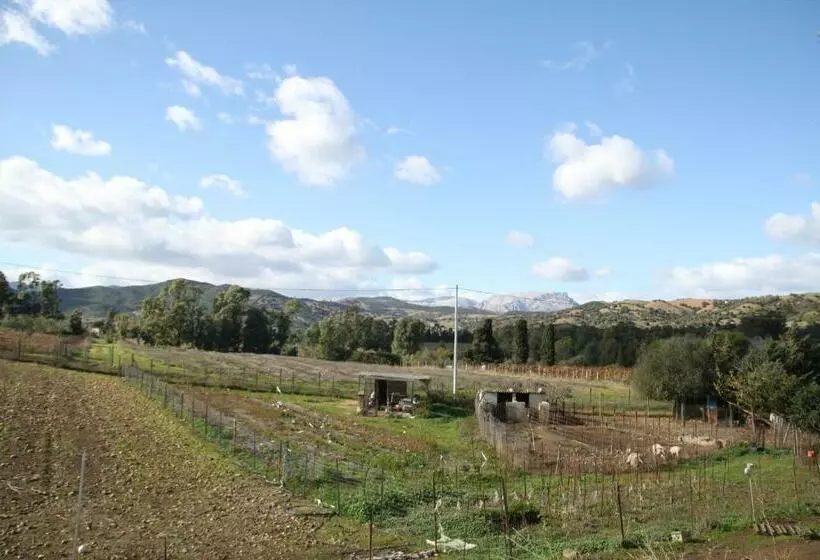 ホテル Agriturismo Su Pinnatu